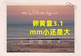 卵黄囊3.1mm小还是大