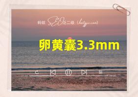 卵黄囊3.3mm