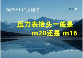 压力表接头一般是m20还是 m16