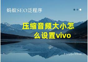 压缩音频大小怎么设置vivo