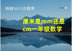 厘米是mm还是cm一年级数学