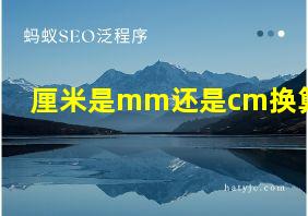 厘米是mm还是cm换算