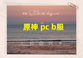 原神 pc b服