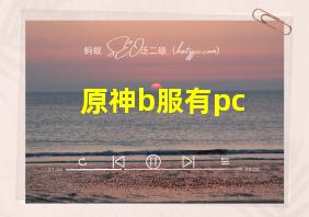 原神b服有pc