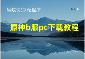 原神b服pc下载教程