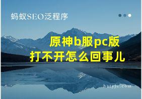 原神b服pc版打不开怎么回事儿