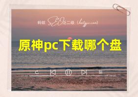 原神pc下载哪个盘