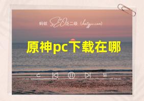 原神pc下载在哪