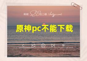 原神pc不能下载