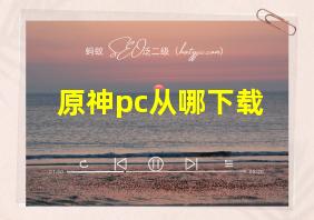 原神pc从哪下载