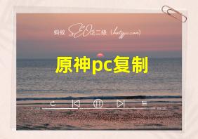 原神pc复制