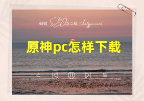 原神pc怎样下载