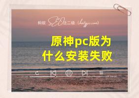 原神pc版为什么安装失败