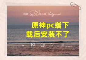 原神pc端下载后安装不了