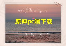 原神pc端下载