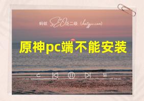 原神pc端不能安装