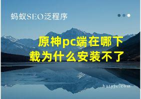 原神pc端在哪下载为什么安装不了