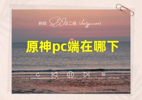 原神pc端在哪下