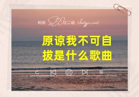 原谅我不可自拔是什么歌曲