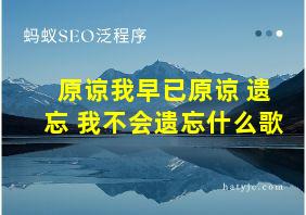 原谅我早已原谅 遗忘 我不会遗忘什么歌