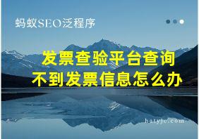 发票查验平台查询不到发票信息怎么办