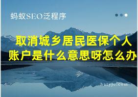 取消城乡居民医保个人账户是什么意思呀怎么办