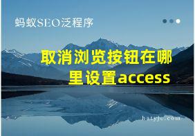 取消浏览按钮在哪里设置access