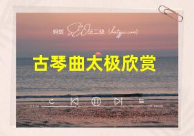 古琴曲太极欣赏