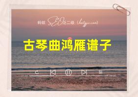 古琴曲鸿雁谱子