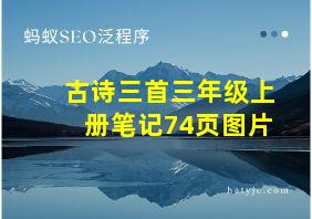 古诗三首三年级上册笔记74页图片