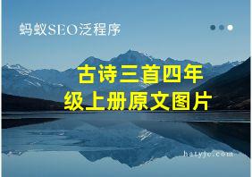 古诗三首四年级上册原文图片