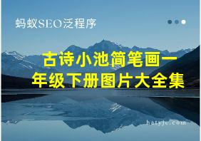 古诗小池简笔画一年级下册图片大全集