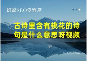 古诗里含有桃花的诗句是什么意思呀视频