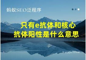 只有e抗体和核心抗体阳性是什么意思