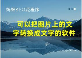 可以把图片上的文字转换成文字的软件