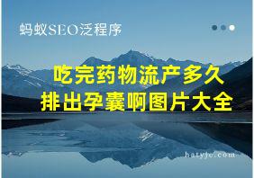 吃完药物流产多久排出孕囊啊图片大全