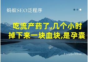 吃流产药了,几个小时掉下来一块血块,是孕囊