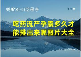 吃药流产孕囊多久才能排出来呢图片大全