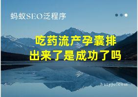 吃药流产孕囊排出来了是成功了吗