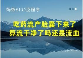 吃药流产胎囊下来了算流干净了吗还是流血