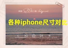 各种iphone尺寸对比