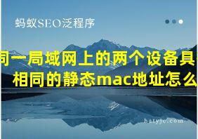 同一局域网上的两个设备具有相同的静态mac地址怎么办