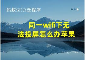 同一wifi下无法投屏怎么办苹果