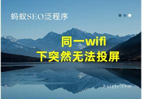 同一wifi下突然无法投屏