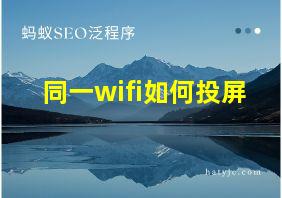 同一wifi如何投屏