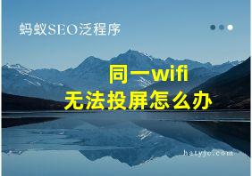 同一wifi无法投屏怎么办