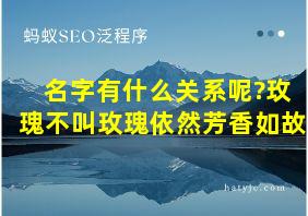 名字有什么关系呢?玫瑰不叫玫瑰依然芳香如故