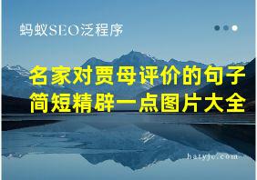 名家对贾母评价的句子简短精辟一点图片大全