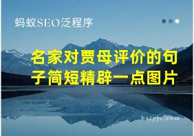 名家对贾母评价的句子简短精辟一点图片