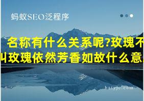 名称有什么关系呢?玫瑰不叫玫瑰依然芳香如故什么意思